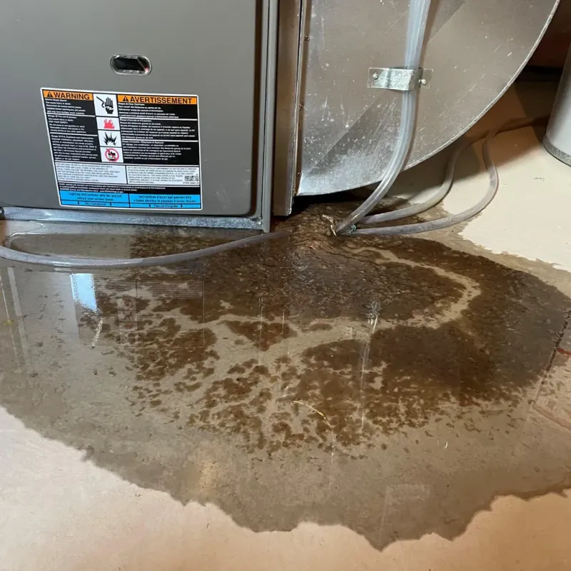 Appliance Leak Cleanup in Decatur, IN