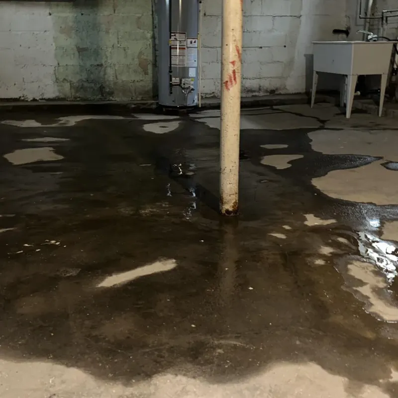 Emergency Water Extraction And Removal in Decatur, IN